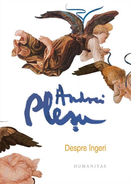 Cartea Despre ingeri (ed. de lux) - Andrei Plesu de Andrei Plesu