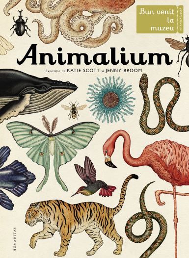 Cartea Animalium - Katie Scott, Jenny Broom de Animalium - Katie Scott, Jenny Broom