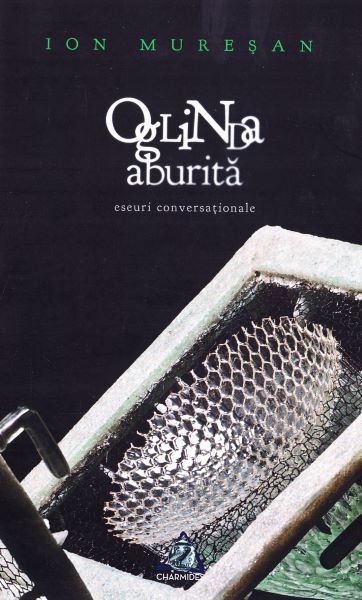 Cartea Oglinda aburita - Ion Muresan de Ion Muresan