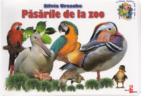 Cartea Pasarile de la zoo - Silvia Ursache de Silvia Ursache