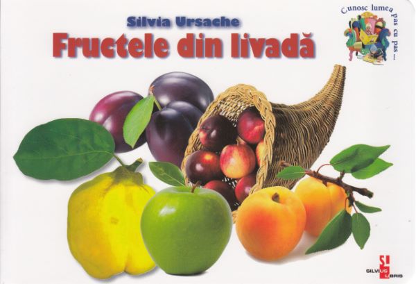 Cartea Fructele din livada - Silvia Ursache de Silvia Ursache