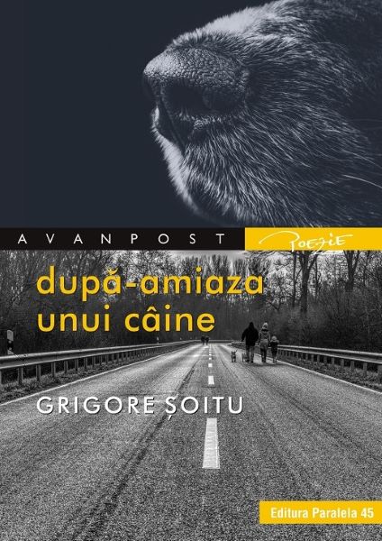 Cartea Dupa-amiaza unui caine - Grigore Soitu de Dupa-amiaza unui caine - Grigore Soitu