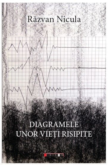 Cartea Diagramele unor vieti risipite - Razvan Nicula de Diagramele unor vieti risipite - Razvan Nicula