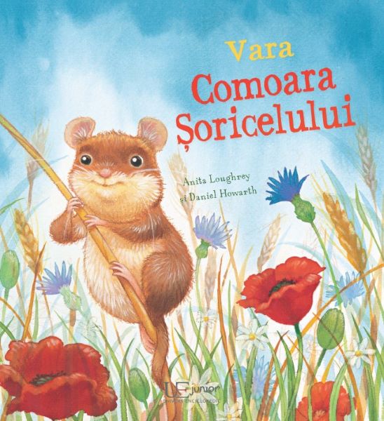 Cartea Vara. Comoara soricelului - Anita Loughrey, Daniel Howarth de Vara. Comoara soricelului - Anita Loughrey, Daniel Howarth