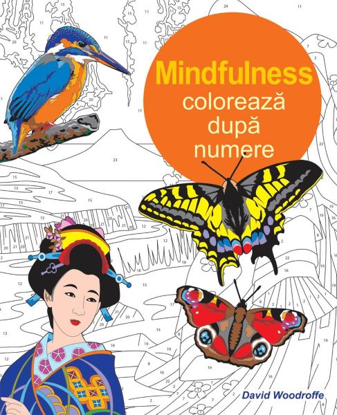 Cartea Mindfulness: Coloreaza dupa numere de Mindfulness: Coloreaza dupa numere