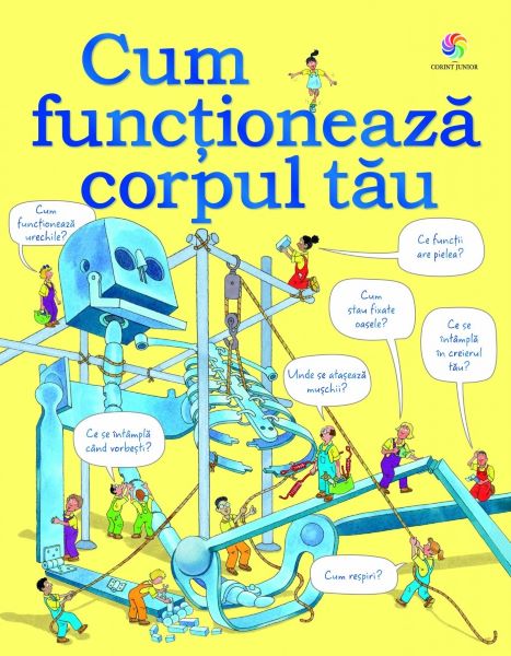 Cartea Cum functioneaza corpul tau - Judy Hindley de Judy Hindley