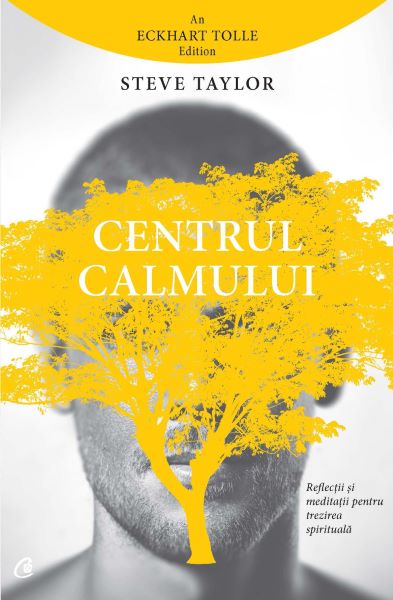 Cartea Centrul calmului - Steve Taylor de Centrul calmului - Steve Taylor