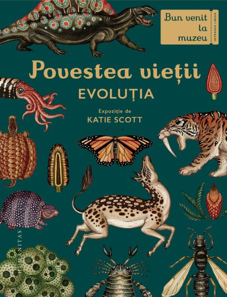 Cartea Povestea vietii: Evolutia - Katie Scott de Povestea vietii: Evolutia - Katie Scott