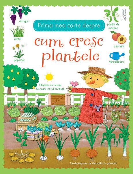 Cartea Prima mea carte despre cum cresc plantele - Felicity Brooks, Caroline Young de Prima mea carte despre cum cresc plantele - Felicity Brooks, Caroline Young