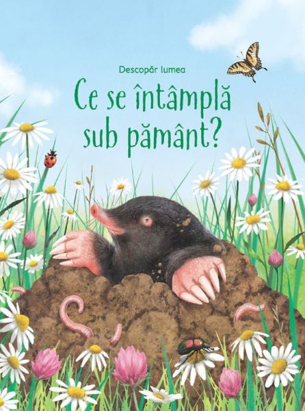 Cartea Descopar lumea. Ce se intampla sub pamant? - Emily Bone de Emily Bone