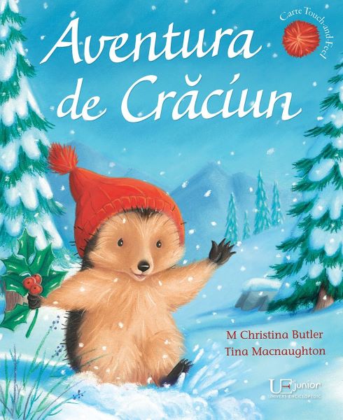 Cartea Aventura de Craciun - M. Christina Butler, Tina Macnaughton de Aventura de Craciun - M. Christina Butler, Tina Macnaughton