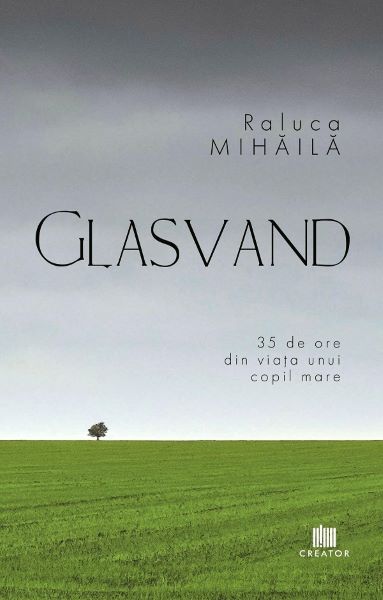 Cartea Glasvand - Raluca Mihaila de Ralu