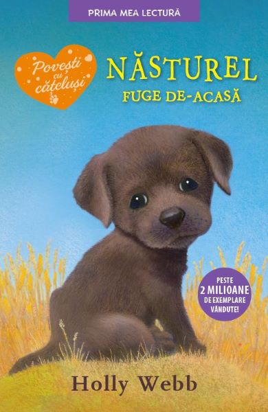 Cartea Nasturel fuge de-acasa - Holly Webb de Holly Webb