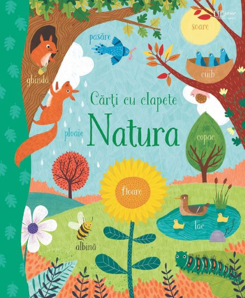 Cartea Carti cu clapete. Natura de Emily Bone