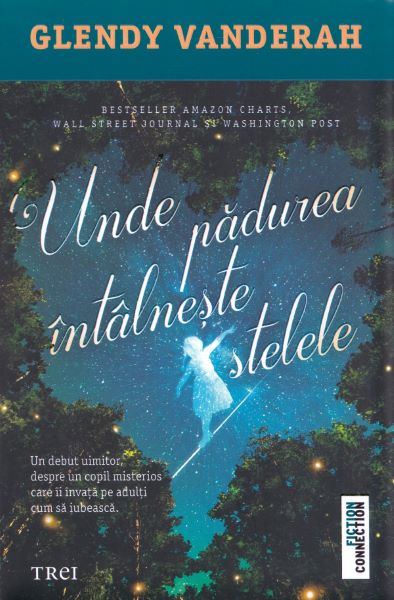 Cartea Unde padurea intalneste stelele - Glendy Vanderah de Glendy Vanderah