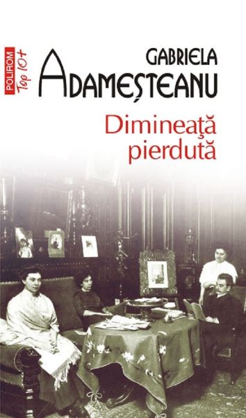 Cartea Dimineata pierduta - Gabriela Adamesteanu de Dimineata pierduta - Gabriela Adamesteanu
