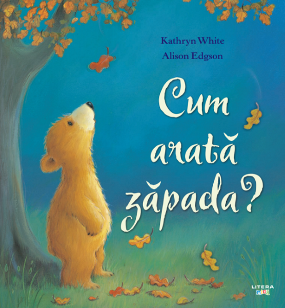Cartea Cum arata zapada? - Kathryn White, Alison Edgson de Cum arata zapada? - Kathryn White, Alison Edgson