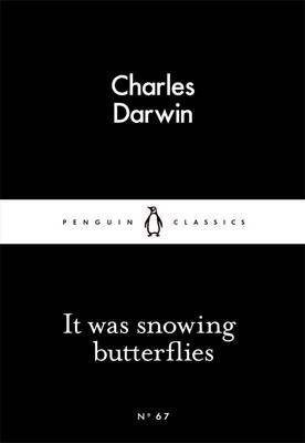 Cartea it was snowing butterflies de it was snowing butterflies