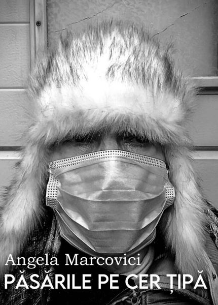 Cartea Pasarile pe cer tipa - Angela Marcovici de Pasarile pe cer tipa - Angela Marcovici
