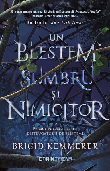 Cartea Un blestem sumbru si nimicitor Vol.1 - Brigid Kemmerer de Brigid Kemmerer