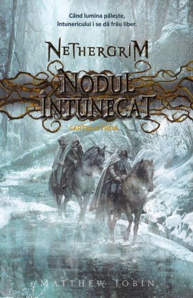 Cartea Nodul intunecat. Seria Nethergrim. Vol.3 - Matthew Jobin de Nodul intunecat. Seria Nethergrim. Vol.3 - Matthew Jobin