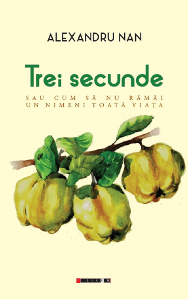 Cartea Trei secunde sau cum sa nu ramai un nimeni toata viata - Alexandru Nan de Trei secunde sau cum sa nu ramai un nimeni toata viata - Alexandru Nan