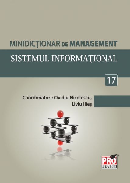 Cartea Minidictionar De Management 17: Sistemul Informational - Ovidiu Nicolescu de Ovidiu Nicolescu