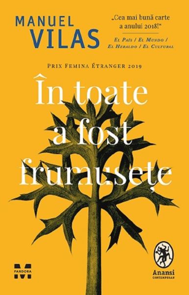 Cartea In toate a fost frumusete - Manuel Vilas de Manuel Vilas