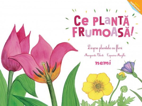 Cartea Ce planta frumoasa! Despre plantele cu flori - Capucine Mazille, Marguerite Tiberti de Capucine Mazille