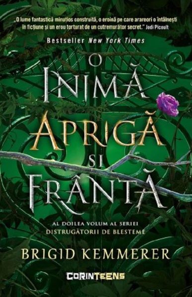 Cartea O inima apriga si franta. Seria Distrugatorii de blesteme Vol.2 - Brigid Kemmerer de Brigid Kemmerer