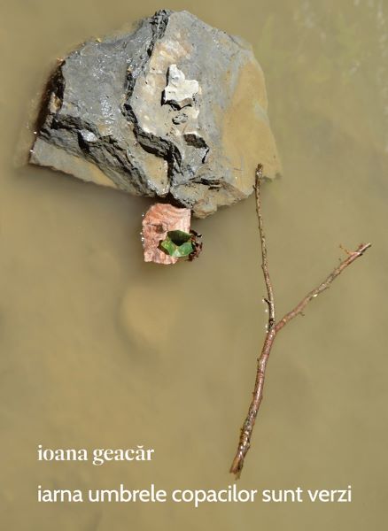 Cartea Iarna umbrele copacilor sunt verzi - Ioana Geacar de Iarna umbrele copacilor sunt verzi - Ioana Geacar
