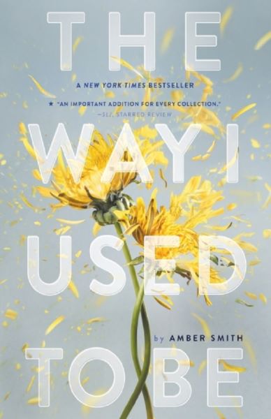 Cartea The Way I Used to Be - Amber Smith de Amber Smith
