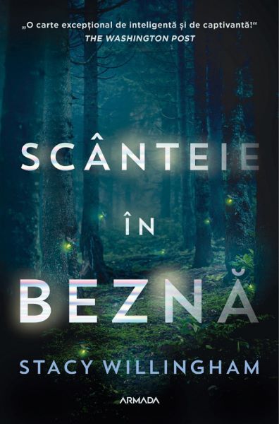 Cartea Scanteie in bezna de Stacy Willingham