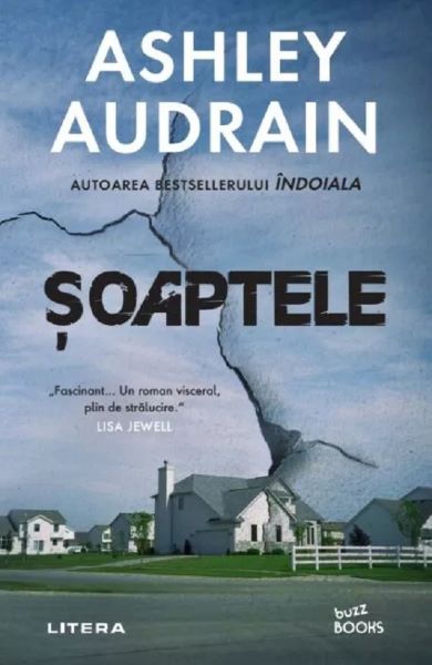 Cartea Soaptele de Ashley Audrain