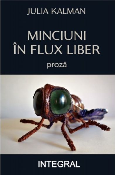 Cartea Minciuni in flux liber de Julia Kalman