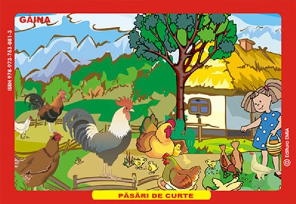 Cartea Planse: pasari de curte de Planse: pasari de curte