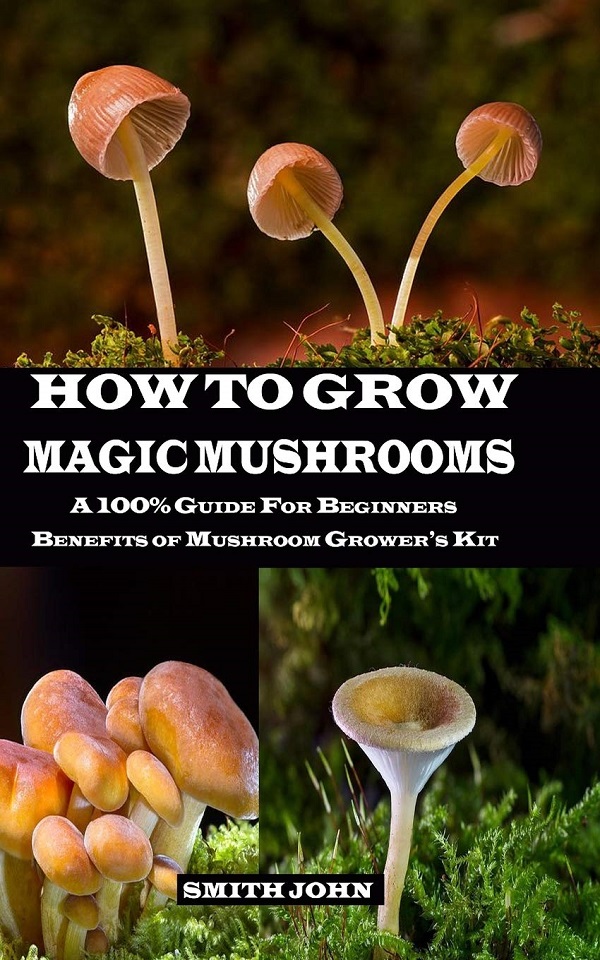 Cartea How To Grow Magic Mushrooms de Smith John