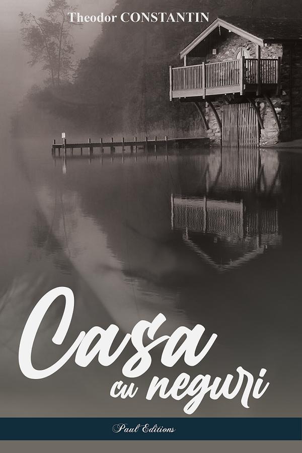 Cartea Casa cu neguri de Theodor Constantin