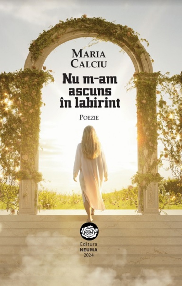 Cartea Nu m-am ascuns in labirint de Nu m-am ascuns in labirint