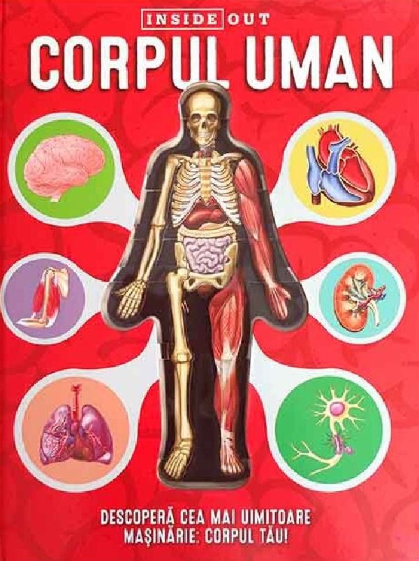 Cartea Corpul uman. Inside Out de Luann Colombo