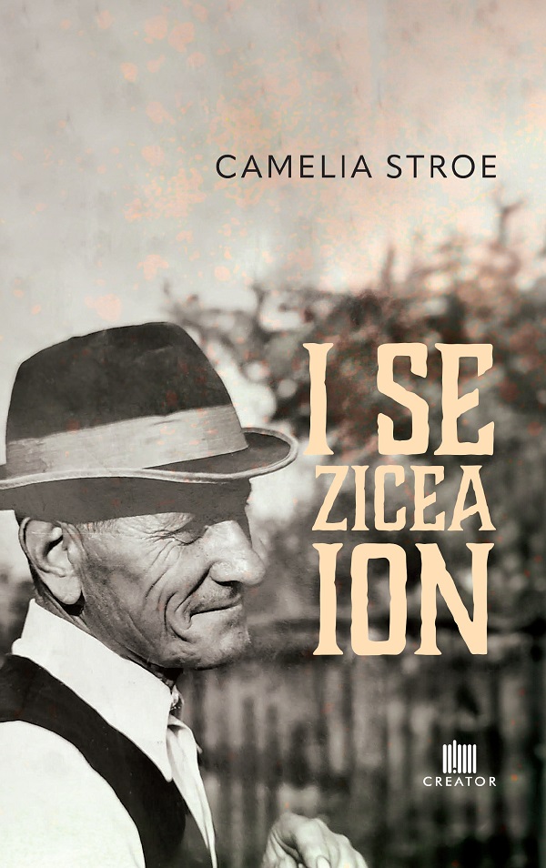 Cartea I se zicea Ion de Camelia Stroe