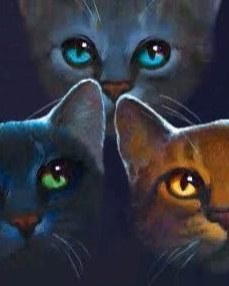 Portret Erin Hunter