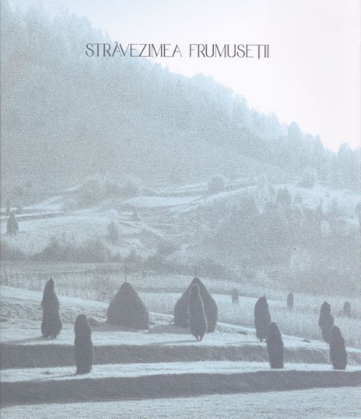 Cartea Stravezimea frumusetii de Paul Gherasim, Marius Pandele