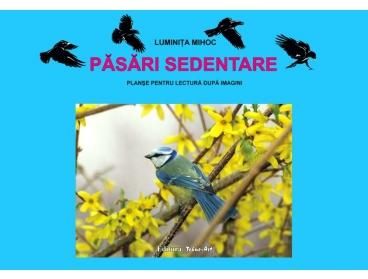 Cartea Pasari sedentare - Planse de Luminita Mihoc