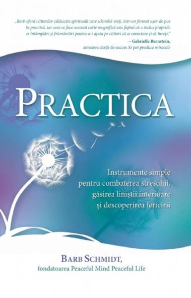 Practica, Barb Schmidt – copertă