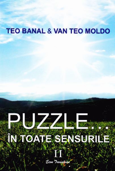Cartea Puzzle... In toate sensurile vol.2 de Teo Banal, Van Teo Moldo