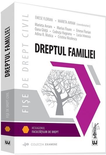 Cartea Dreptul familiei. Fise de drept civil - Emese Florian, Marieta Avram de Marius Floare