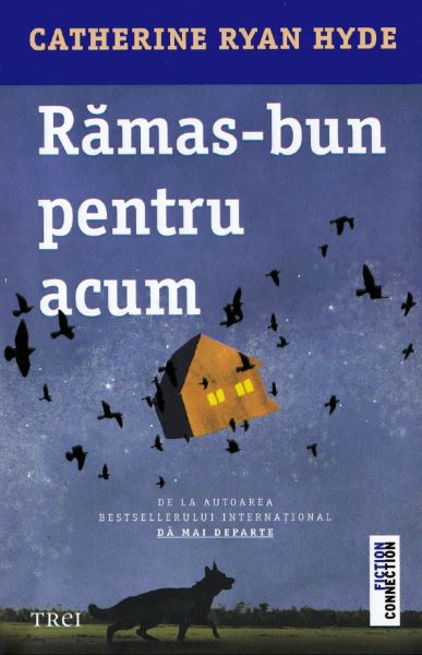 Cartea Ramas-bun pentru acum - Catherine Ryan Hyde