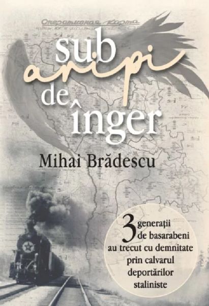 Sub aripi de inger, Mihai Bradescu – copertă