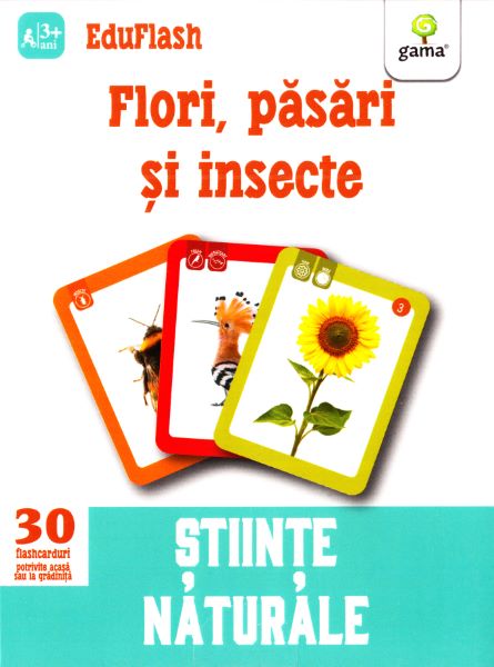 Flori, pasari si insecte 3 ani+, - – copertă